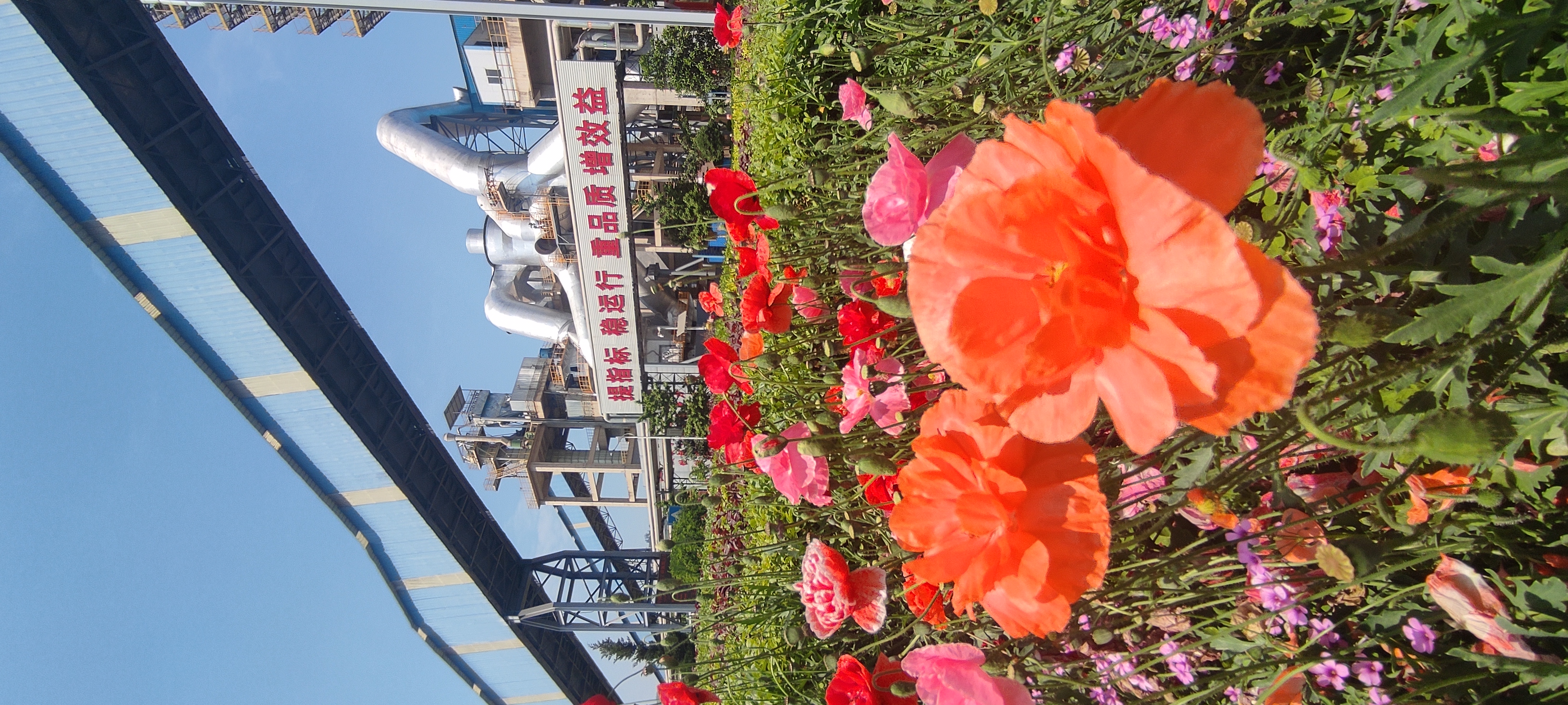 1685675016110290.jpg 花园工厂.jpg